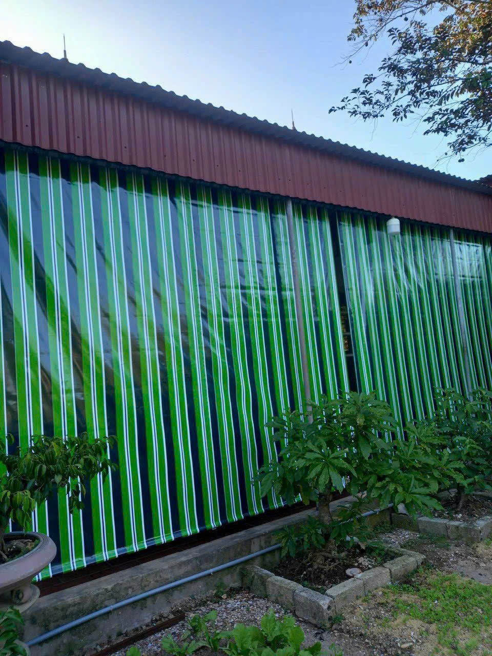 Bạc che nắng tại Quy Nhơn Bình Định